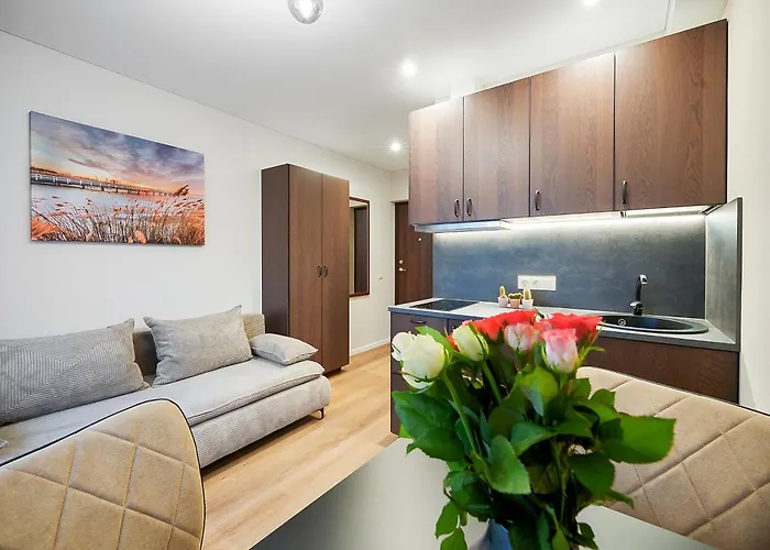 Stylish Brown Studio Near The City Center