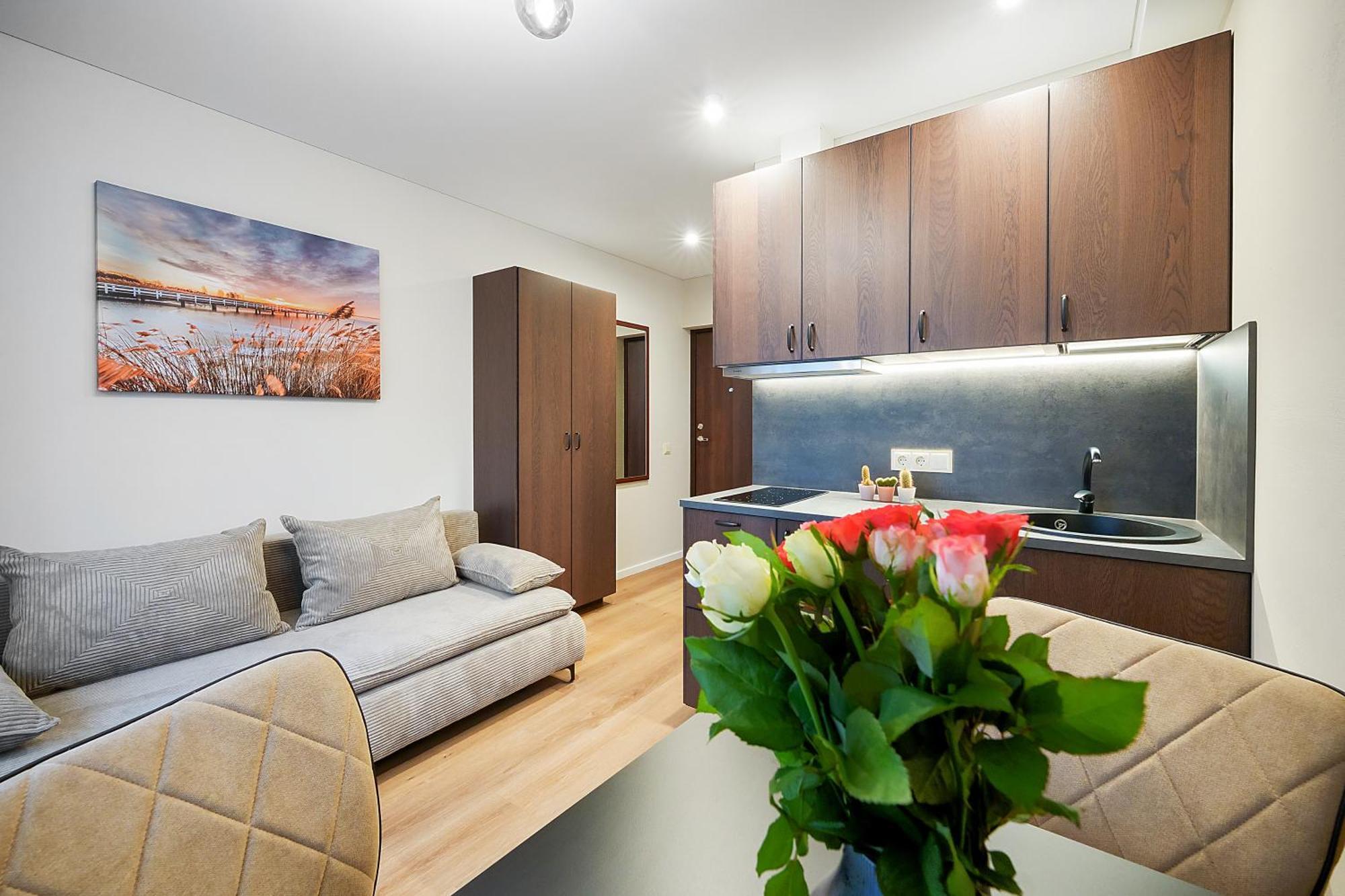 Stylish Brown Near The Center Butas Vilnius
